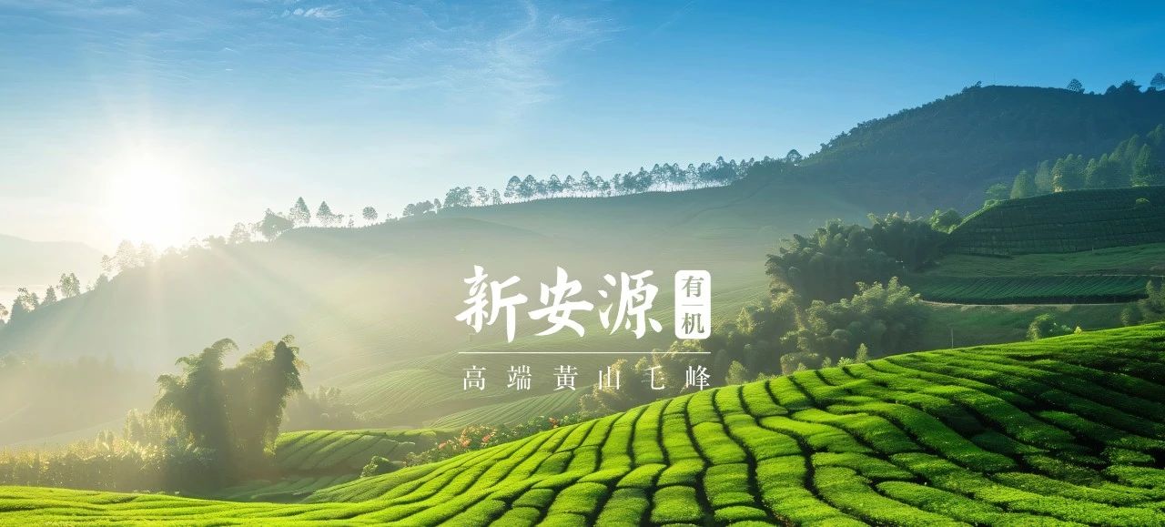 太阳成(tyc122cc-VIP认证集团)-Official Platform