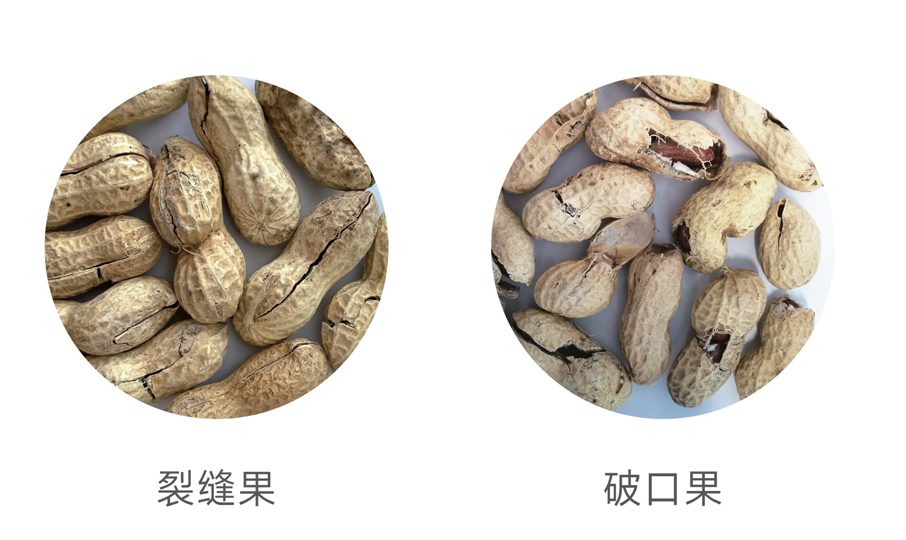 太阳成(tyc122cc-VIP认证集团)-Official Platform
